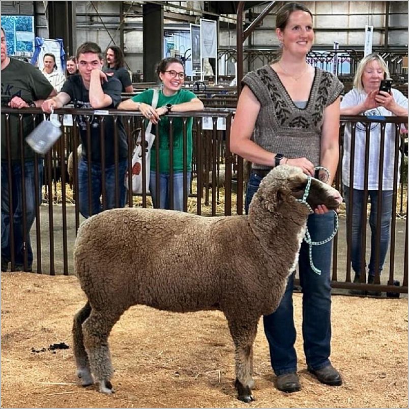 Laurel Stone models her vest with her Merino, Irish. Photo: Amy Wolf.